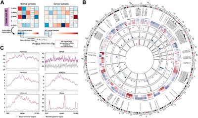 Super enhancer-driven core transcriptional regulatory circuitry crosstalk with cancer plasticity and patient mortality in triple-negative breast cancer